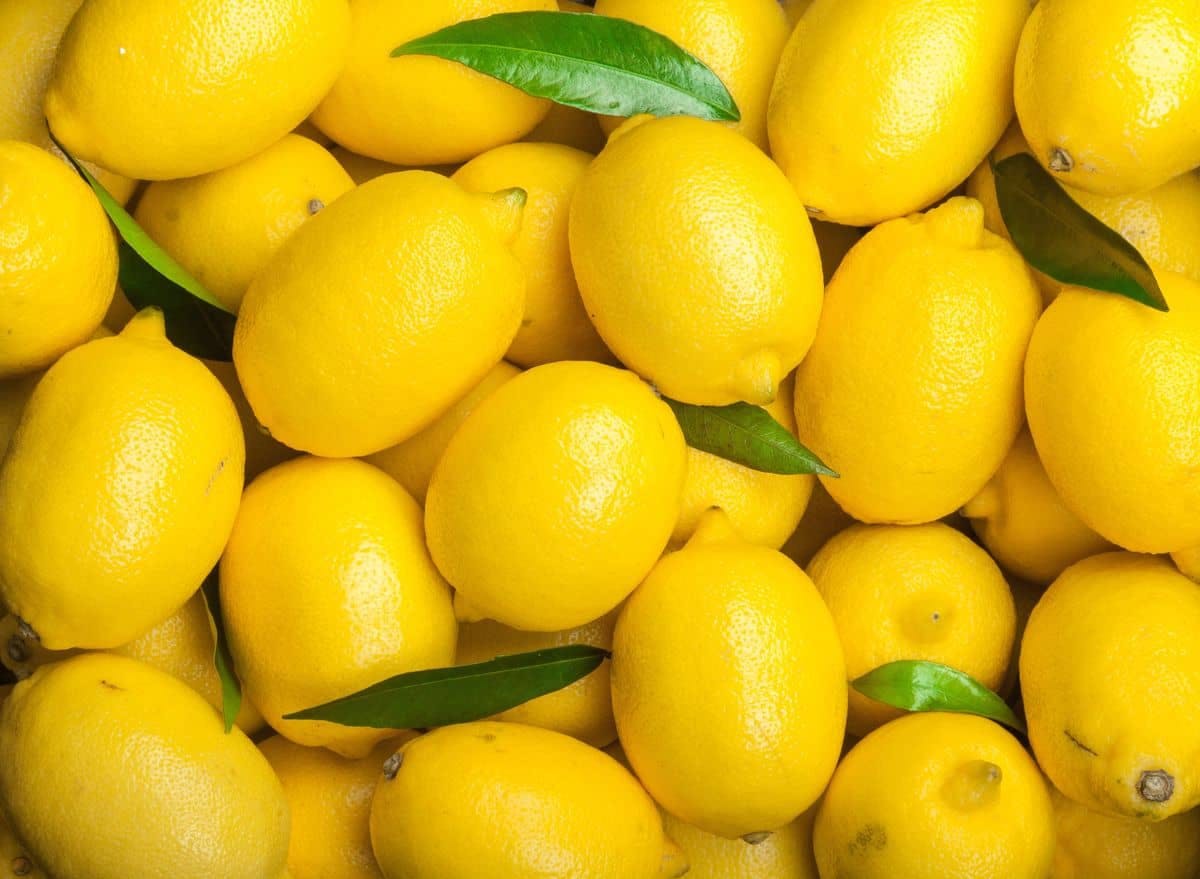 Invest in lemons